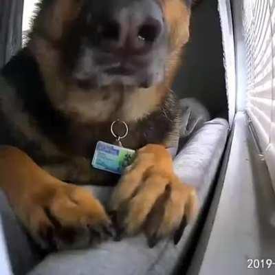 And here Jack found the camera...