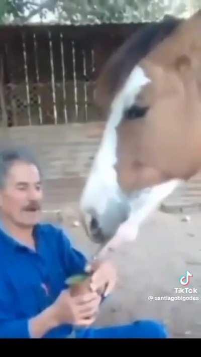 Sotaque de verdade kk