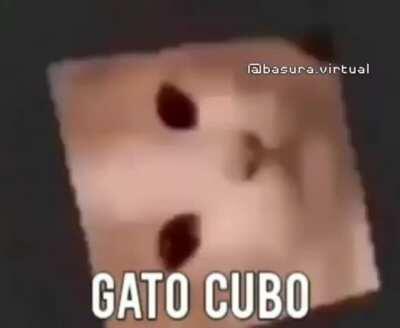 gato cubo B)