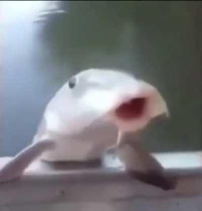 The stuff my friends send me