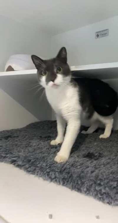 George always has a big hello stored up