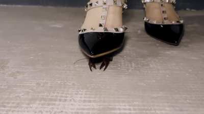 Goddess Jessica Gives Instructions on Crawfish Crushing