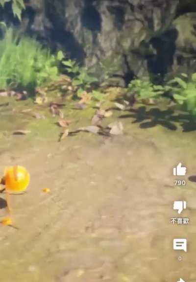 Thats not what I wanted to see, EVER