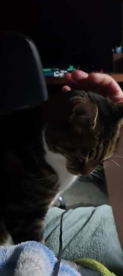 Wake up already! It's 2025 😽❤️