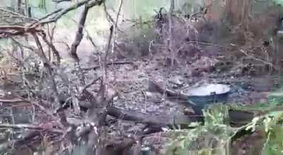 Crónicas del conflicto territorial Mapuche en Villa Mascardi.