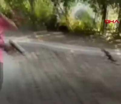 idiot parents, why you shouldn't give a gun to kids