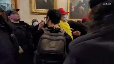 New Video angle shows Cops walking away and letting mob break into the Capitol, Domestic Terrorist Babbit getting shot.