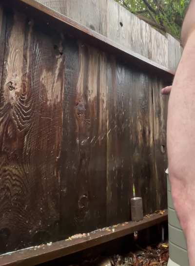 Giving My Fence a Golden Shower