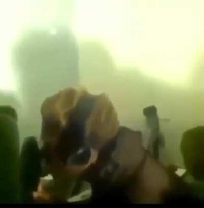 certified hood classic