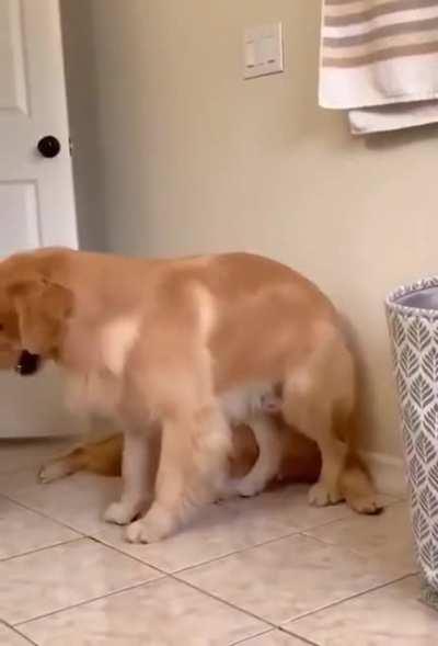 A comfy place to sit