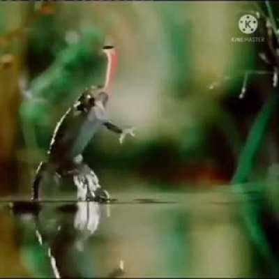 fly be hittin the gym man(@goodtimes8439 youtube)