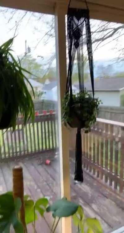 excited to share my plant room with someone who will truly appreciate it - this sub! :)