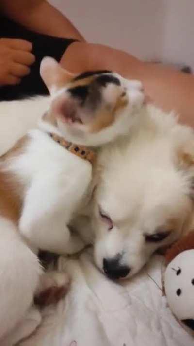 This is the reason he stays so white🥰