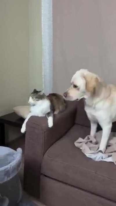 What's happening here