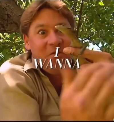 Remembering Steve Irwin... You're missed 💔