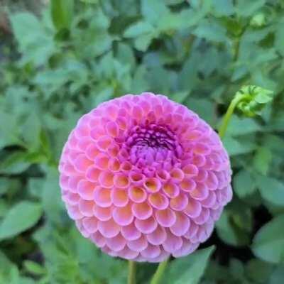 No filter needed for that natural glow!