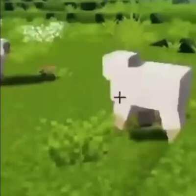 Sheep finna make me act up 🥵😤