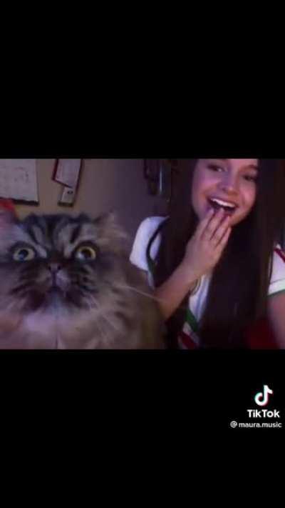 Партитура не очень