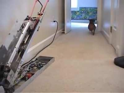 Jerry needs no help playing with his ball.