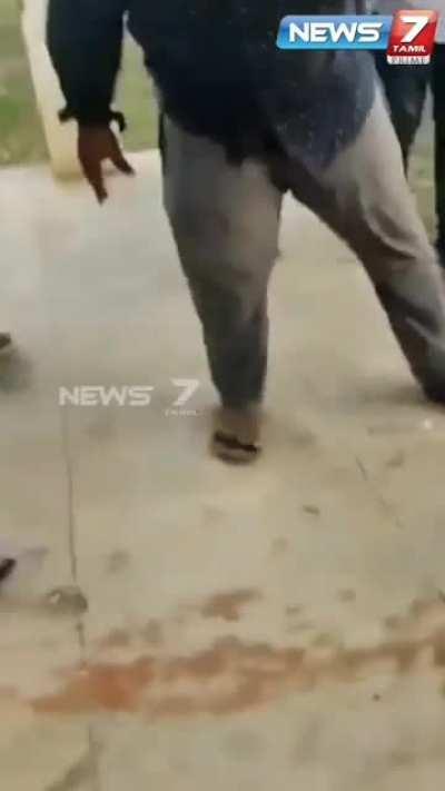 kissing snake is a good idea