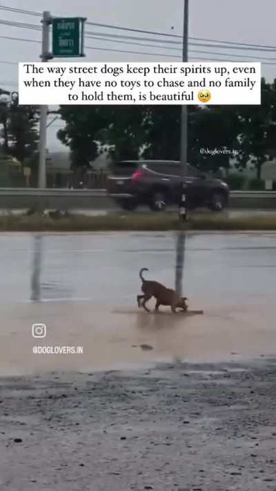 Found this bundle of joy on Instagram. 