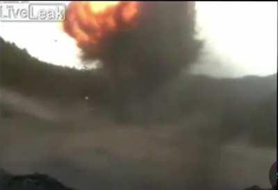 What a nice day in the forest