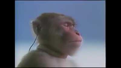 Yeah, I know I’m a king..