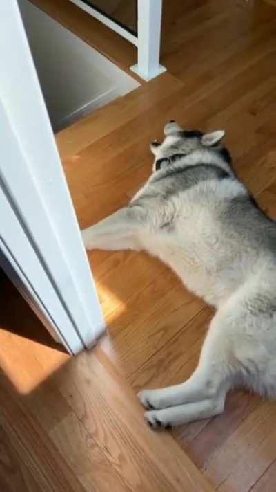 Me when I need to wake up for school, Hilarious