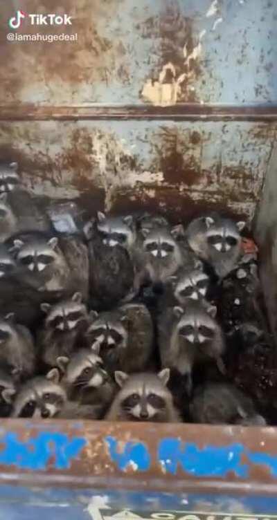 All the people when the titan looked over the wall