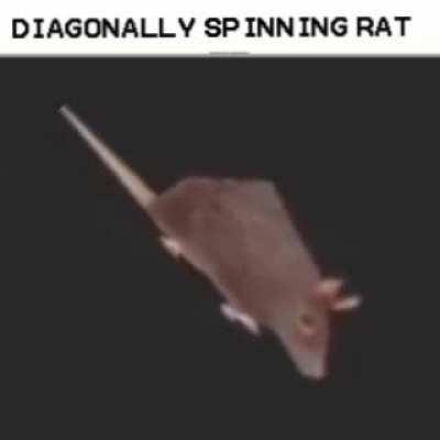 Something to hold us over