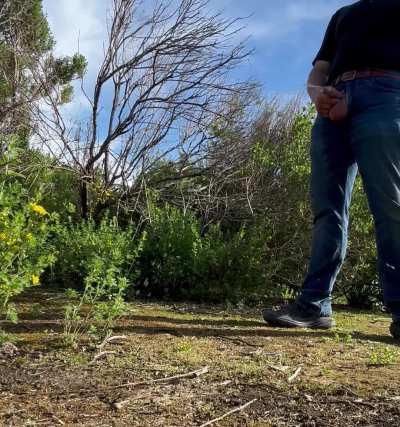 (28) My new morning piss spot, whenever I'm walking to work😁