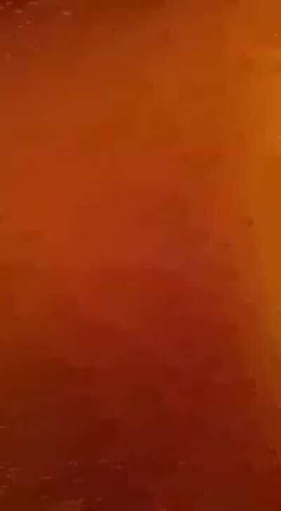 Well, what were they thinking?