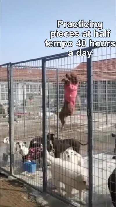 Made this meme after watching the prodigy video