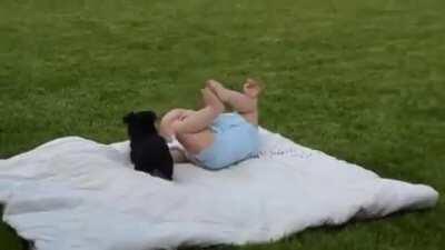 FerOcIoUs wOlF eAtInG a BabY AliVe