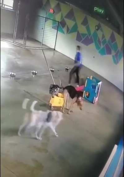 Two for the price of one