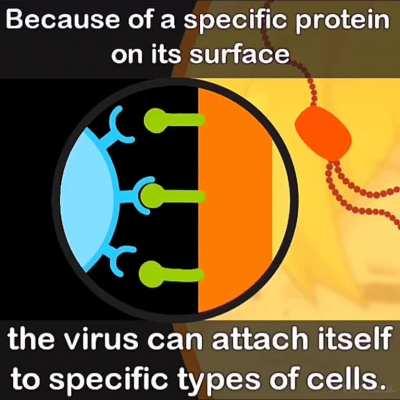 [oc] Senko's Lab Episode 7 !