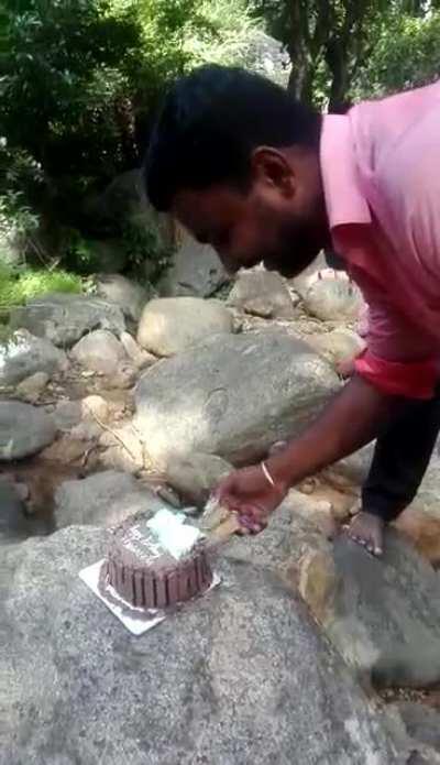 Monkey steal cake from birthday party in the forest