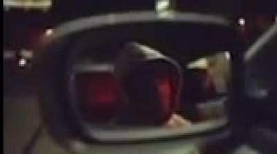 Cool cats and kittens.