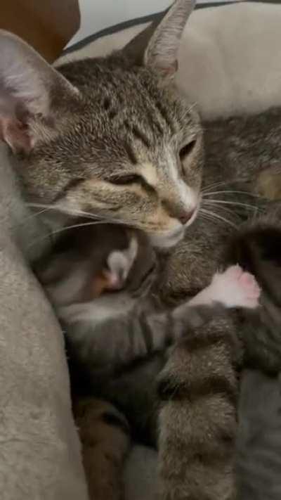 Snoo loves her momma!