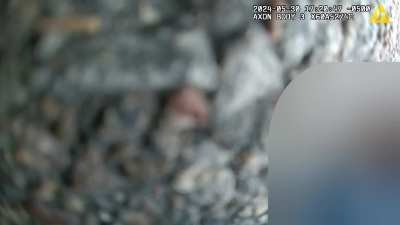 Extended bodycam footage of officer Jamal Mitchell being shot and killed by Mustafa Ahmed Mohamed during the May 30, 2024 mass shooting in Minneapolis, Minnesota that left 4 people dead, including Mohamed and Mitchell, and 3 others injured