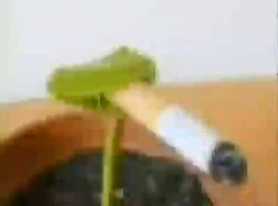 added a bunch of monsters to gold island. (sorry, fluoress sounds like absolute crap)