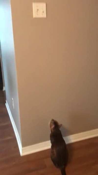 Whеnеvеr shе sее’s mе turning оn thе light !