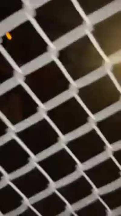 Twerking on a substation 