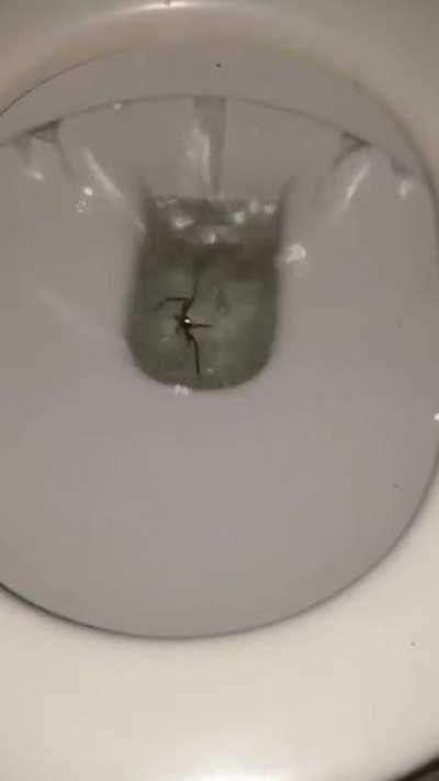 I'm sorry but I honestly couldn't help myself.