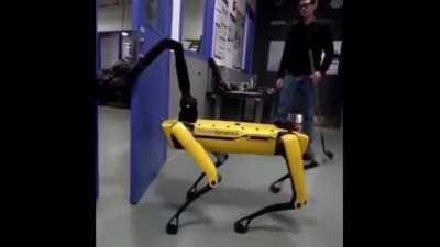 Robot Dog if it had Sentience