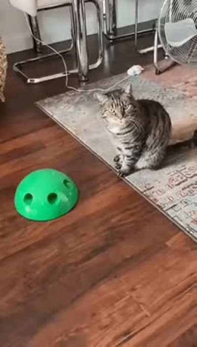 He absolutely hates birthdays...