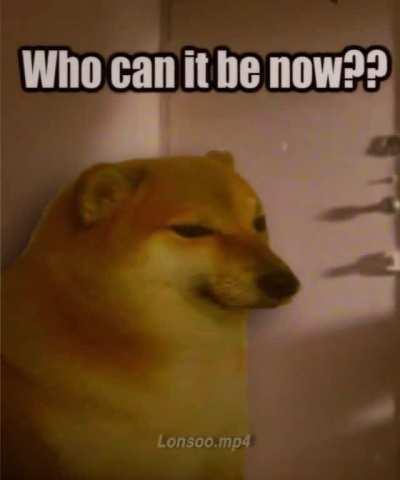 Ya están aquí los panas