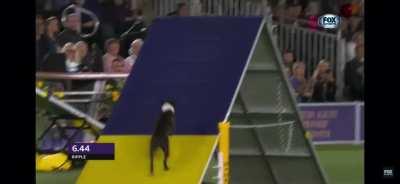 He looked like such a quick boi :(