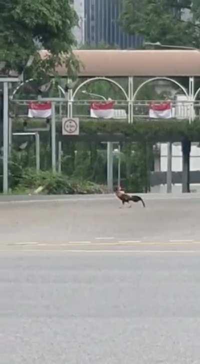 Life’s proverbial question. Why?