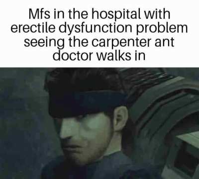 4 minutes of licking or amputation, call it